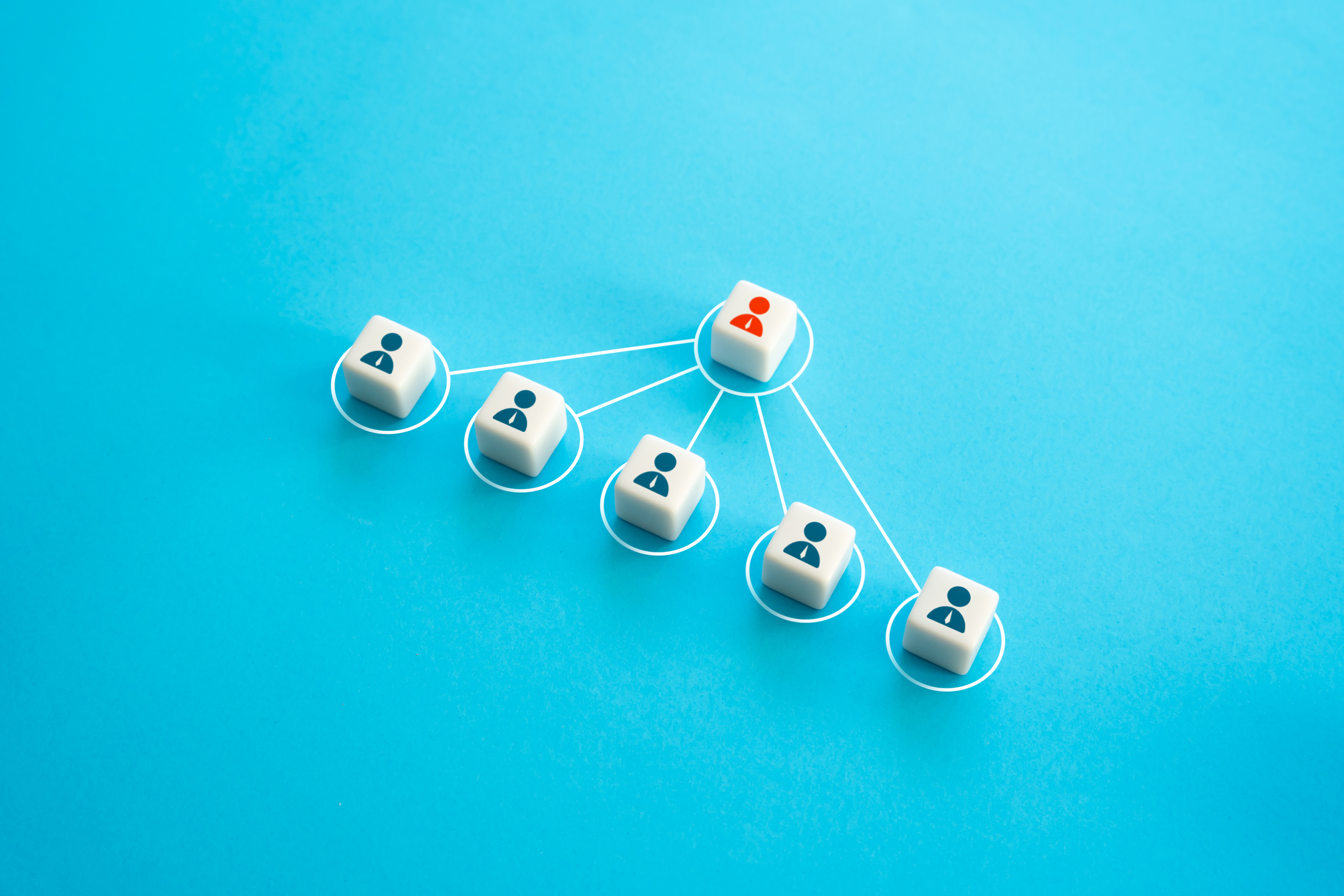 System Workflow